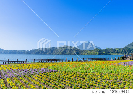 《鹿児島県》池田湖と開聞岳 《鹿児島県》池田湖と開聞岳 101659436