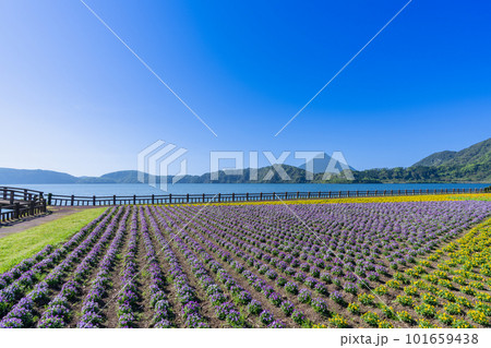 《鹿児島県》池田湖と開聞岳 《鹿児島県》池田湖と開聞岳 101659438