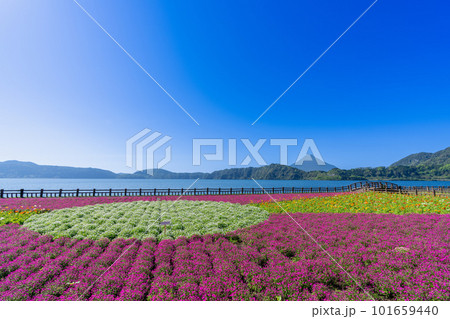 《鹿児島県》池田湖と開聞岳 《鹿児島県》池田湖と開聞岳 101659440