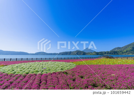 《鹿児島県》池田湖と開聞岳 《鹿児島県》池田湖と開聞岳 101659442