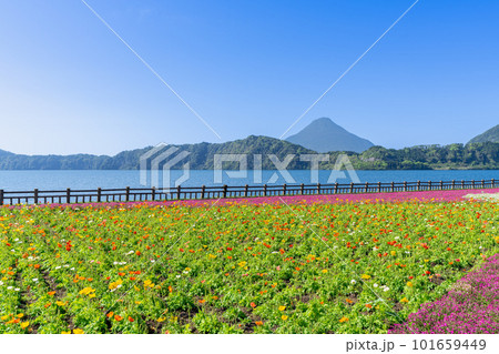 《鹿児島県》池田湖と開聞岳 101659449