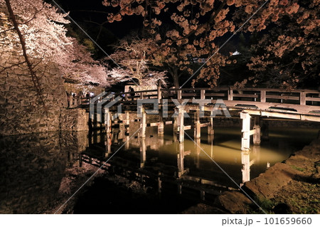 彦根城表門橋の夜桜 101659660