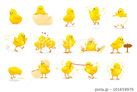 Cartoon chick characters of cute baby chickens. Little yellow farm bird vector personages with egg shells, worms and grains. Fluffy chicks hatching, sitting, running and eating, jumping and walking Cartoon chick characters of cute baby chickens. Little yellow farm bird vector personages with egg shells, worms and grains. Fluffy chicks hatching, sitting, running and eating, jumping and walking 101659976