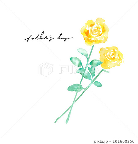 水彩画。水彩タッチの黄色い薔薇ベクターイラスト。父の日の黄色い花イラスト。 101660256