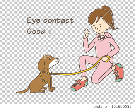 穿著運動服的馬尾辮年輕女性與她的小寵物狗進行眼神交流和訓練 101660553