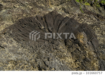 加賀の桂島 101660757