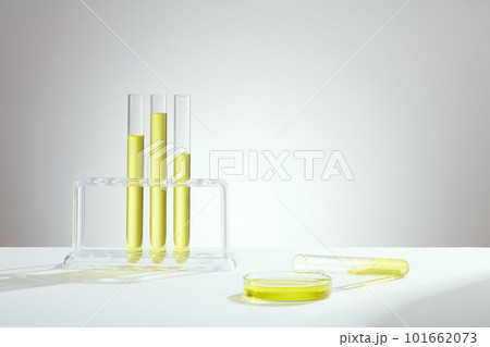 Front view of laboratory equipment filled with yellow liquid in tests tube and petri dish on light background. Lab theme. Science and medical background 101662073