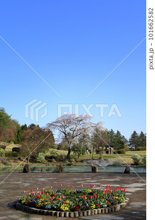 那須野が原公園/栃木県那須塩原市 那須野が原公園/栃木県那須塩原市 101662582
