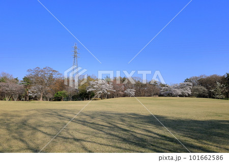 春の那須野が原公園／栃木県那須塩原市 101662586