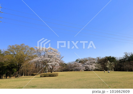 那須野が原公園/栃木県那須塩原市 那須野が原公園/栃木県那須塩原市 101662609