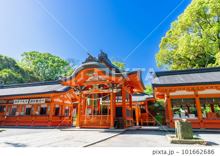 《鹿児島県》枚聞神社(ひらききじんじゃ) 《鹿児島県》枚聞神社(ひらききじんじゃ) 101662686