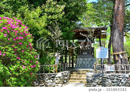 見付天神　つつじ公園　霊犬神社 101663181
