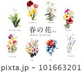 春の花の水彩イラスト8種Cセット／AI画像（バラ・カーネーション・スズラン・ユリなど） 101663201
