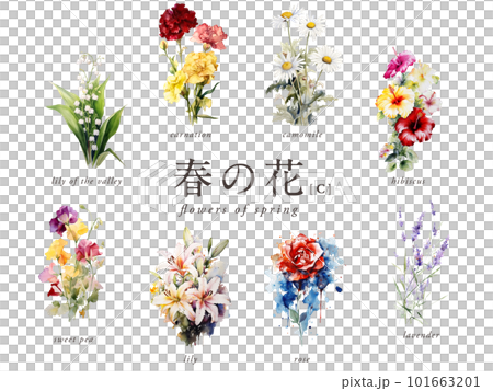 春の花の水彩イラスト8種Cセット／AI画像（バラ・カーネーション・スズラン・ユリなど） 101663201