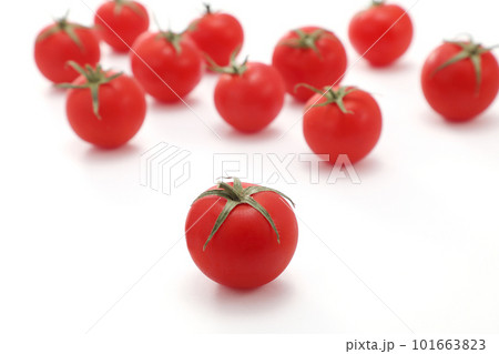 新鮮なミニトマト 101663823