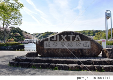 藤枝市 蓮華寺池公園プロムナード園路と蓮華寺池公園石碑 藤枝市 蓮華寺池公園プロムナード園路と蓮華寺池公園石碑 101664141