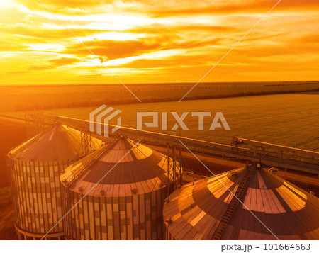 Grain silos on a green field background with warm sunset light. Grain elevator. Metal grain elevator in agricultural zone. Agriculture storage for harvest. Aerial view of agricultural factory. Nobody. 101664663