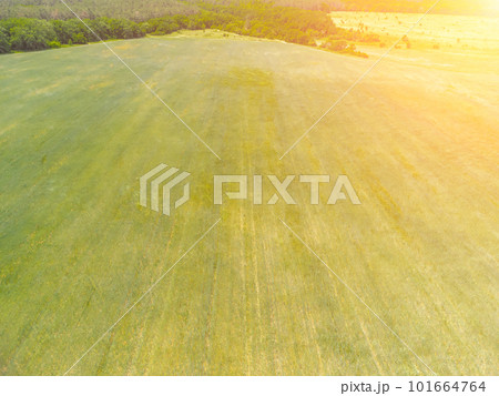 Aerial view on green wheat field in countryside. Field of wheat blowing in the wind like green sea. Young and green Spikelets. Ears of barley crop in nature. Agronomy, industry and food production. Aerial view on green wheat field in countryside. Field of wheat blowing in the wind like green sea. Young and green Spikelets. Ears of barley crop in nature. Agronomy, industry and food production. 101664764