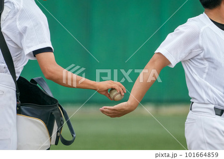 野球の試合前のシートノック中に選手からボールを渡されるノックを打つ前の監督コーチの手元 野球の試合前のシートノック中に選手からボールを渡されるノックを打つ前の監督コーチの手元 101664859