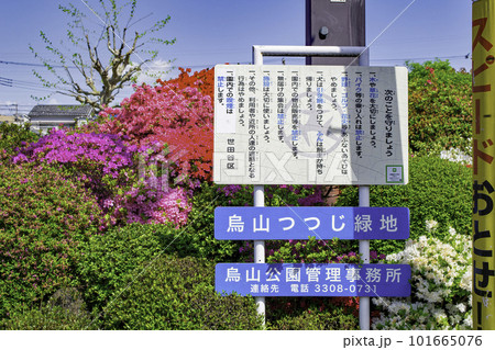 東京都　北烏山　烏山つつじ緑地 101665076