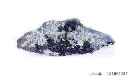 stone from the mountains tundra on a white background 101665332