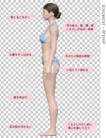 一位身穿淺藍色比基尼的女士講解正確的站立方式和姿勢的插圖 101665918