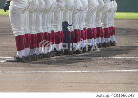 野球の試合で両チームが整列して挨拶する選手たち 野球の試合で両チームが整列して挨拶する選手たち 101666243