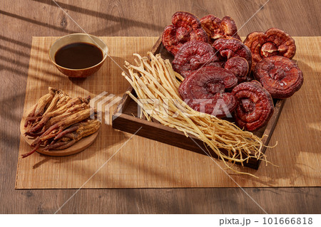 Dangshen and lingzhi mushroom placed on a square wooden tray with a dish of Red ginseng and a bowl of medicine. For medicine advertising, photography traditional medicine content Dangshen and lingzhi mushroom placed on a square wooden tray with a dish of Red ginseng and a bowl of medicine. For medicine advertising, photography traditional medicine content 101666818