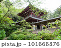 龍潭寺 101666876
