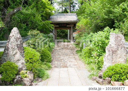 龍潭寺 101666877