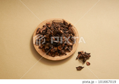 Scene of cyperus tuber put on round dishes on brown background. Cyperus tuber is a traditional medicine that relieves anger, discomfort, regulates menstruation, relieves pain, clears phlegm Scene of cyperus tuber put on round dishes on brown background. Cyperus tuber is a traditional medicine that relieves anger, discomfort, regulates menstruation, relieves pain, clears phlegm 101667019