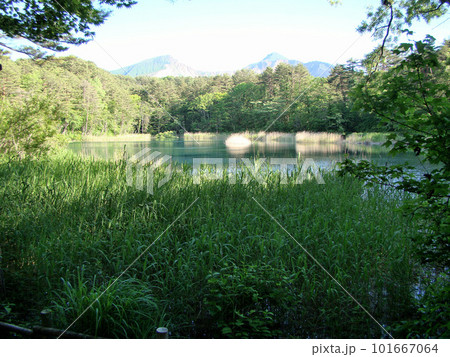 裏磐梯五色沼 裏磐梯五色沼 101667064