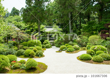 井伊直虎ゆかりの地 井伊直虎ゆかりの地 101667306
