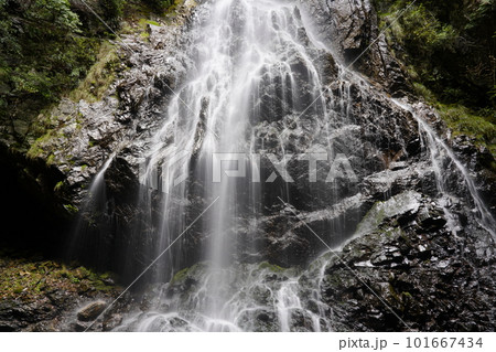 新緑に映える飛流落としの滝 101667434