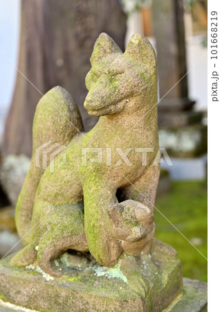 川口散歩：実相寺　日蓮宗　境内社　狛狐　於岩稲荷大明神　川口市領家 101668219