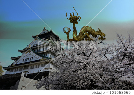 大阪城の桜と龍 大阪城の桜と龍 101668669