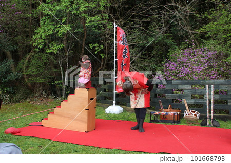 日本の伝統芸猿回し 101668793