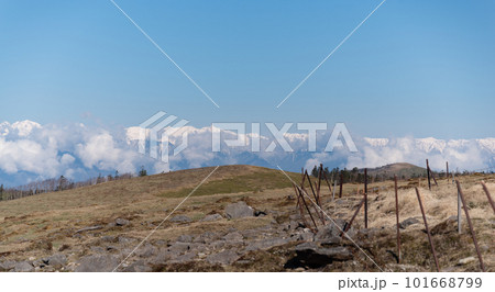 春の美ヶ原高原から見える雪に覆われた北アルプス 101668799