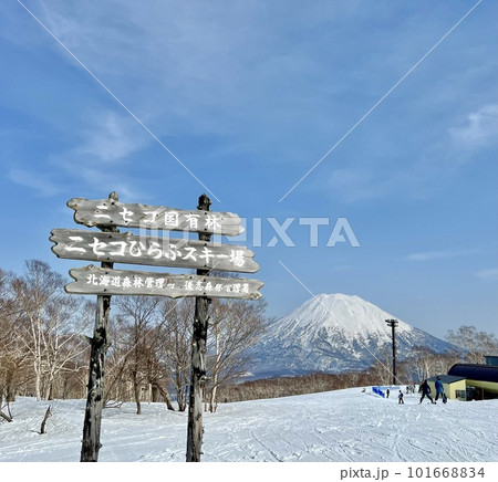 ニセコヒラフスキー場のコース内から見る羊蹄山 101668834
