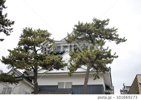 岡崎城　 101669273