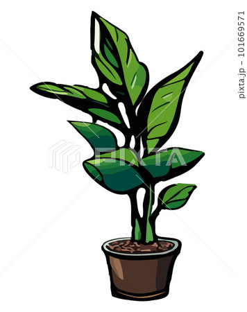 BOTANIZE アニメイラスト 植木鉢 BOTANIZE アニメイラスト 植木鉢