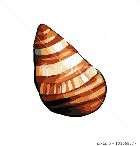 Vector Seashell watercolor illustration. Hand drawn underwater element design. Artistic vector marine design element. Illustration for greeting cards, printing and other design projects. Vector Seashell watercolor illustration. Hand drawn underwater element design. Artistic vector marine design element. Illustration for greeting cards, printing and other design projects. 101669577