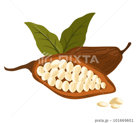 0298_cocoa 0298_cocoa 101669601