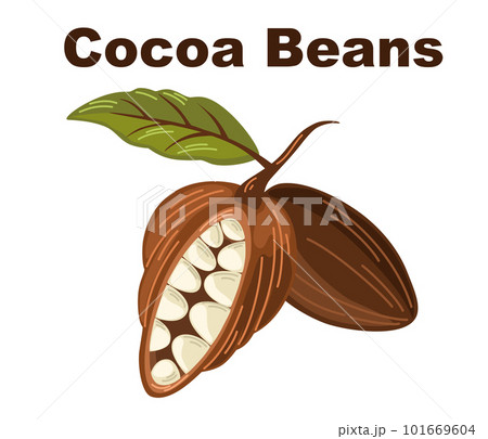 0299_cocoa 101669604