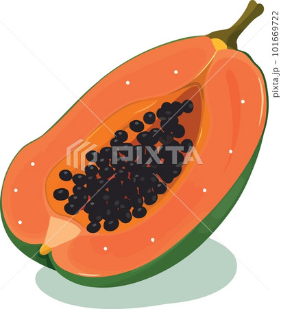 papaya fruit cut in half papaya fruit cut in half 101669722