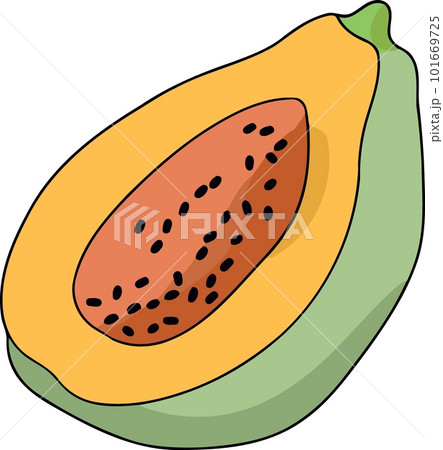 papaya fruit cut in half 101669725