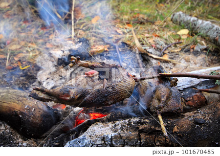 Exclusive food game bird on a spit Exclusive food game bird on a spit 101670485