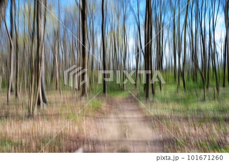 ICM small movement abstract colorful woodland path centered background ICM small movement abstract colorful woodland path centered background 101671260