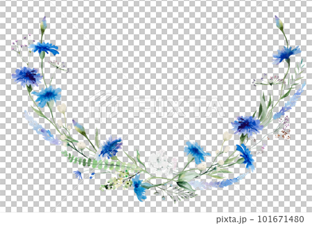 Watercolor blue cornflower wreath, summer wedding and greeting isolated illustration with wildflowers 101671480