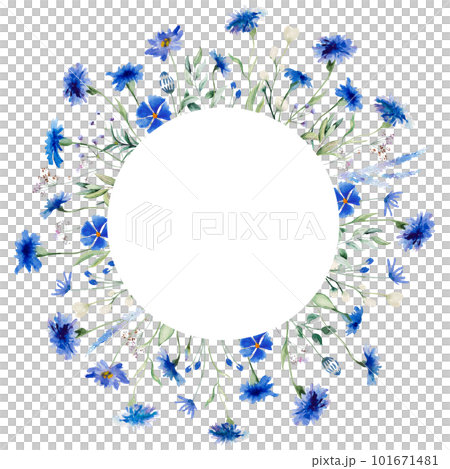 Watercolor blue cornflowers and wildflowers round frame, summer wedding isolated illustration 101671481